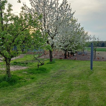 Huehnerhof-Roehrs Leilighet Schneverdingen Eksteriør bilde