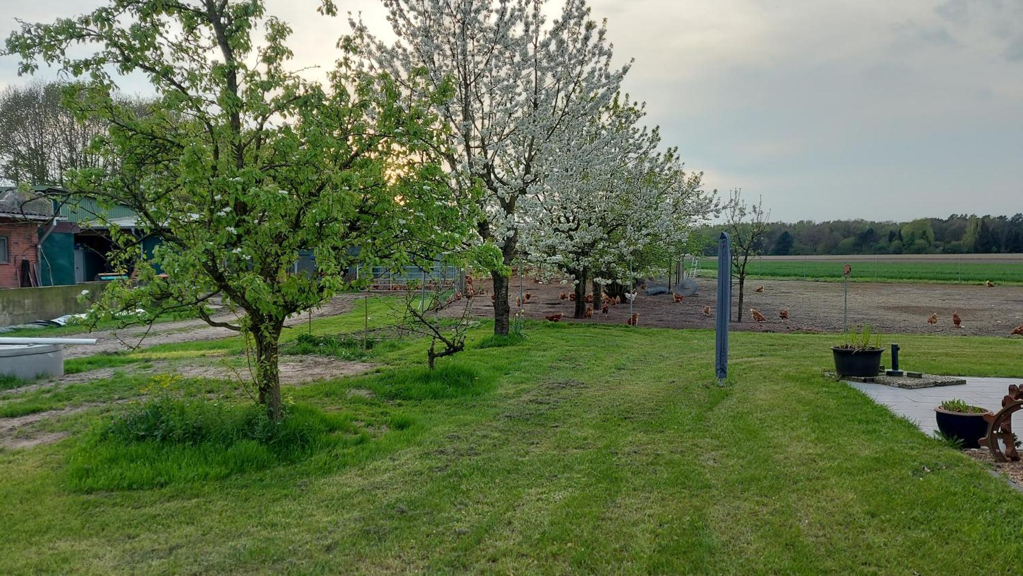 Huehnerhof-Roehrs Leilighet Schneverdingen Eksteriør bilde